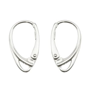 May include: A pair of silver-toned earring hooks with a lever back closure.