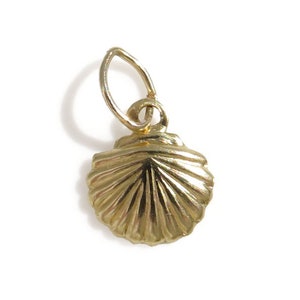 May include: A gold-colored seashell charm pendant. The seashell is detailed with ridges and a smooth, shiny finish.