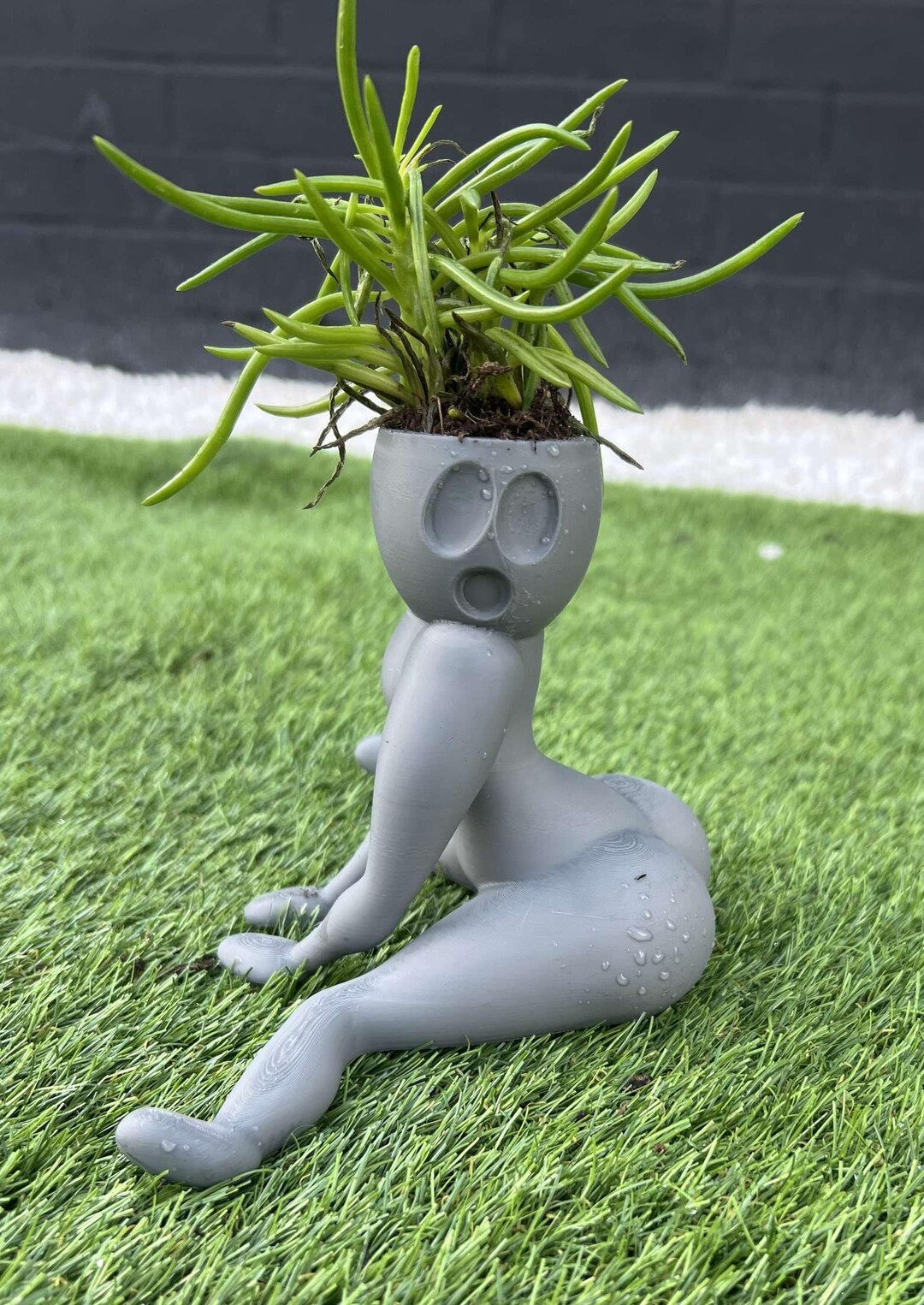 Miss Booty Seedling Planter Small House Plant Etsy miss-booty-seedling-planter-small-house-plant-etsy