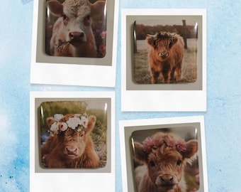 Set of 4 Highland Cow fridge magnets
