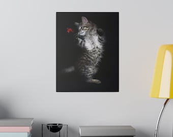 Peut inclure: Un chaton tabby joueur avec des marques blanches se tient sur ses pattes arrière, atteignant une feuille rouge sur un fond noir.