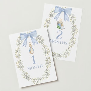 Cartes bébé Peter Rabbit, impressions numériques Peter Rabbit, thème de la forêt, événements marquants du mois, cadeau de baby shower, décoration de chambre d'enfant, accessoire photo