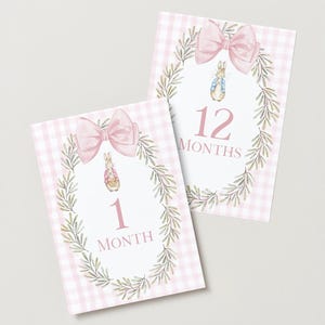 Cartes bébé Peter Rabbit, impressions numériques Peter Rabbit, thème de la forêt, événements marquants du mois, cadeau de baby shower, décoration de chambre d'enfant, accessoire photo