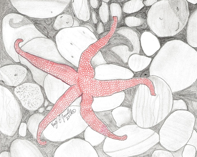 Starfish Embroidery Pattern On Stick and Stitch Paper  Easy Beginner DIY Home Decor Gift For Women