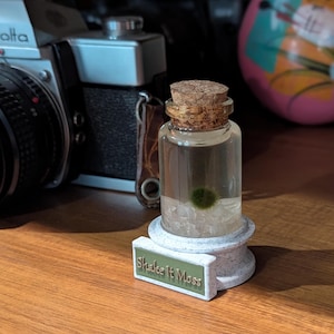 May include: A small glass bottle with a cork stopper, containing water and a green marimo moss ball. The bottle sits on a white pedestal with a green and gold sign that reads "Shake It Moss". A vintage camera is in the background.