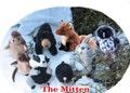 The Mitten Finger Puppet Gift Boxed Set Snow White Mittens & 8 Finger Puppet Animals Story Telling Home School Library Gift Brand New