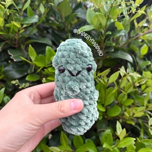 Crochet Pickle | Pickle | Crochet Food | Crochet | Amigurumi | Amigurumi Fruits | Crochet Vegetables | Dill Pickle | Pickle Plushie