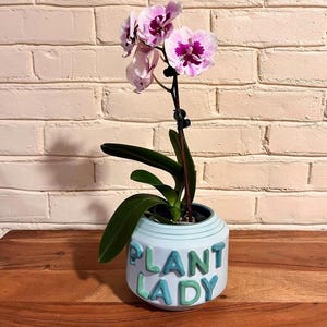 bromeliad potting mix 8 