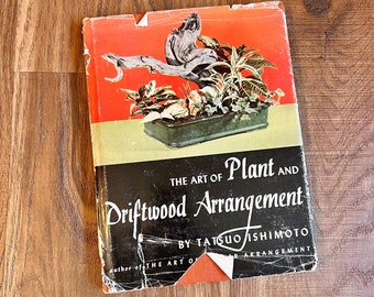 1950s Driftwood Plant Arrangement Book Plant Lover Gifts Art