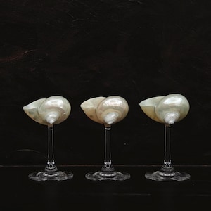 Custom Name Seashell Martini Glasses • Personalization Seashell Wine Glasses • Wedding Bridesmaid Gift • Trending Valentine&#39;s Day Gifts 2024