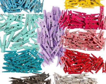 Paper Frame Accessory: Mini Clothespins (10pc)