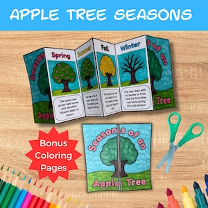 Seasons Of An Apple Tree Craft, Arbor Day Printable, Apple Tree Study Unit, Apple Life Cycle Activity, Color Cut And Paste,Preschool Science