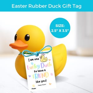 May include: A yellow rubber duck with an orange beak and black eyes. It has a gift tag that reads "I am one Lucky Duck to have a FRIEND like you!" The tag is 2.5" x 3.5" and says "Happy Easter!"