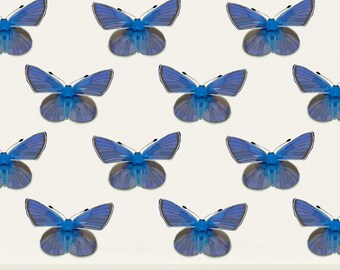 Blue Painterly Butterfly Wallpaper | Teen Girls Bedroom, Powder Room, Accent Wall | Modern, Enchanted, Boutique, Chic