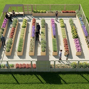 Può includere: Vista aerea di un'aiuola rialzata con varie piante e fiori. Il giardino è racchiuso da una recinzione e presenta diverse fioriere rettangolari in legno piene di fiori e verde colorati. Le persone camminano nel giardino.