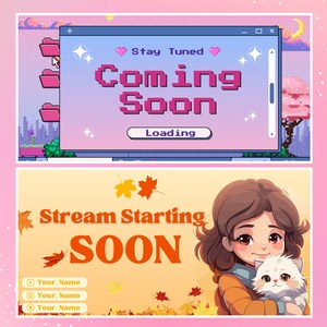 Stream Intro Screen Custom Animated Stream Screens: Twitch Overlay Pack - Etsy
