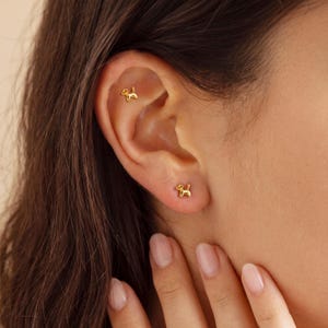 May include: Two small gold-toned stud earrings shaped like stylized dogs. One earring is positioned in the earlobe, while the other is placed in the upper cartilage area. The earrings feature a smooth, polished finish and a simple, minimalist silhouette.