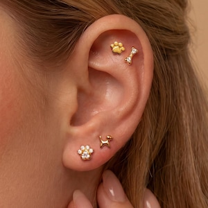 May include: A set of four gold-toned stud earrings worn in an ear. The jewellery includes a small paw print, a bone shape with clear stones, a dog silhouette, and a larger paw print stud featuring multiple clear stones set in a gold-coloured metal.