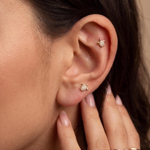 May include: Two gold-toned stud earrings shaped like sea turtles, each featuring a textured shell surface embedded with small, clear, sparkling stones. One earring is positioned on the earlobe, while the other is placed higher on the cartilage.