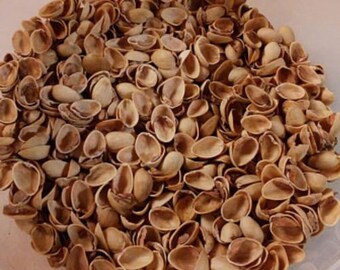 Organic Raw Pistachio Nutshells.