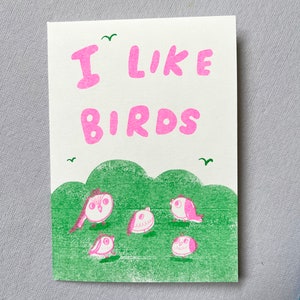 I Like Birds Zine A6 Risograph Zine Sky blue and pink colourway image 3