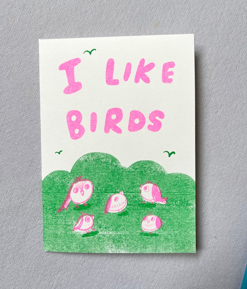 I Like Birds Zine A6 Risograph Zine Sky blue and pink colourway image 3