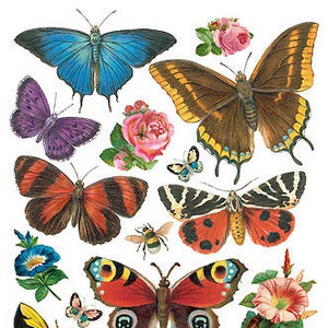 3 Sheets Self Adhesive Butterfly Stickers STKP21 - Etsy