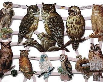 Germany Paper Scraps Die Cut Birds Of Prey Owls Hawks  7333