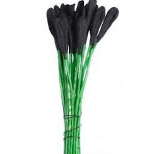 2 Bundles Czech Stamen Millinery Flower Lily Peps 48 Stems Black And Green  CZ37 x2
