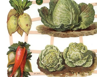 Germany Paper Scraps Lithographed Die Cut Victorian Vegetables  7383