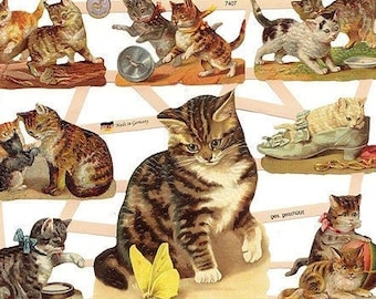 Germany Paper Scraps Lithographed Die Cuts Of Victorian Cats  7407