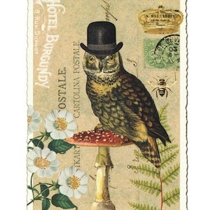 From Germany 5 Postcards Dapper Owl On Mushroom Five Matching Cards Edition Tausendschon PK476