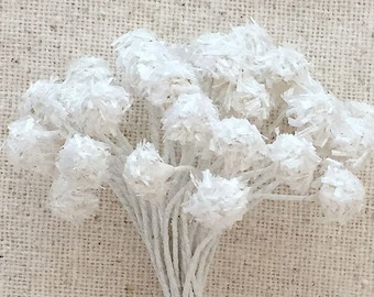 36 Stems Vintage Stamen Millinery Flower Stamens Germany Fuzzy White Peps   VAS012