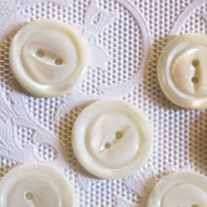 10 Vintage Ring Edge Shell Buttons Mother Of Pearl Button 3/4" SW06