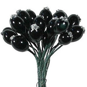 36 Czech Repubic Stamen Millinery Flower Berry Fruit Black Rose Hips Peps Stems x2 image 1