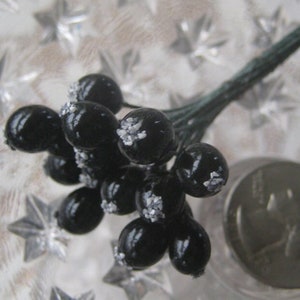 36 Czech Repubic Stamen Millinery Flower Berry Fruit Black Rose Hips Peps Stems x2 image 2