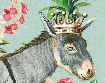 Desde Alemania 5 postales Burro Cinco tarjetas alemanas a juego PK709