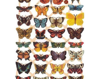 From Germany Paper Scraps Die Cut Victorian Butterflies S7336