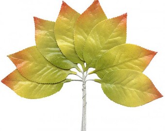Czech 16 Millinery Paper Leaves Embossed Green Ombre Leaves