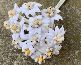 From Austria 12 Small White Fabric Millinery Edelweiss Flowers NAT-100