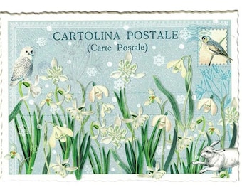 From Germany 5 Postcards Snowdrop Flowers Collage Five Matching Cards Edition Tausendschon PK620