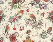 2 Sheets Robin and Holly Greenery Christmas Italian Paper Kartos Italy IP K196 x2MB