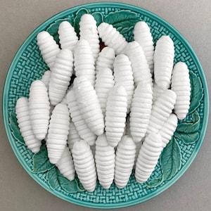May include: A close-up of a plate filled with white, ridged, ceramic pasta shapes. The plate is a vibrant teal green with a white floral pattern.