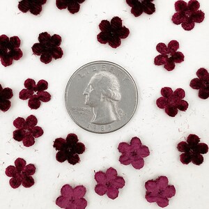 48 Czech Velvet Forget Me Not Flowers Millinery Flower Making Or Scrapbooking Burgundy VB102-BU