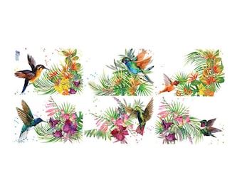 3 Sheets Self Adhesive Hummingird Stickers STKC121