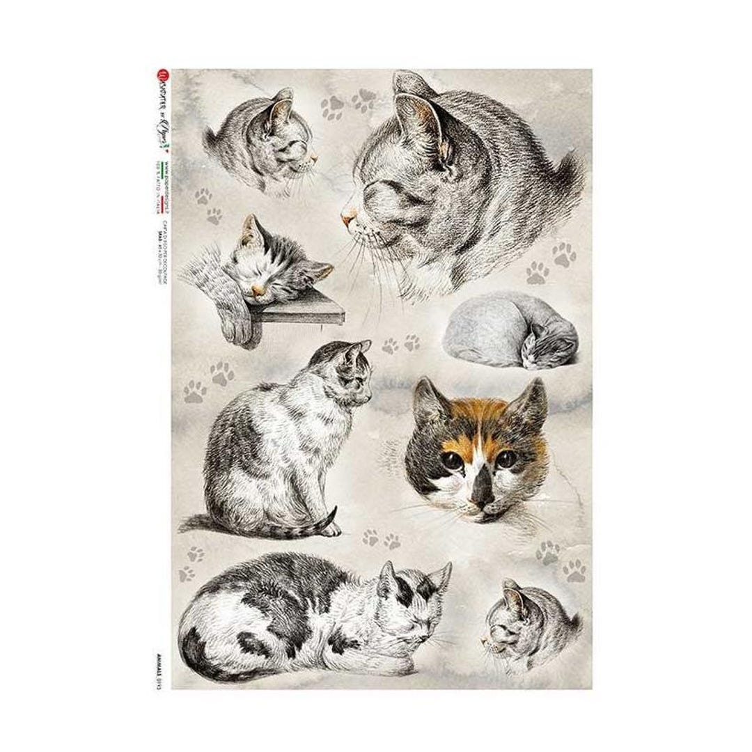 From Italy 2 Sheets Italian Rice Paper Decoupage Cats Kittens Animals ...