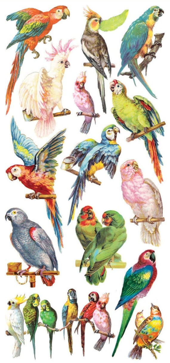 3 Sheets Self Adhesive Fancy Birds Parrots Stickers Each Sheet 3-3/4" by 7-7/8" STKC71