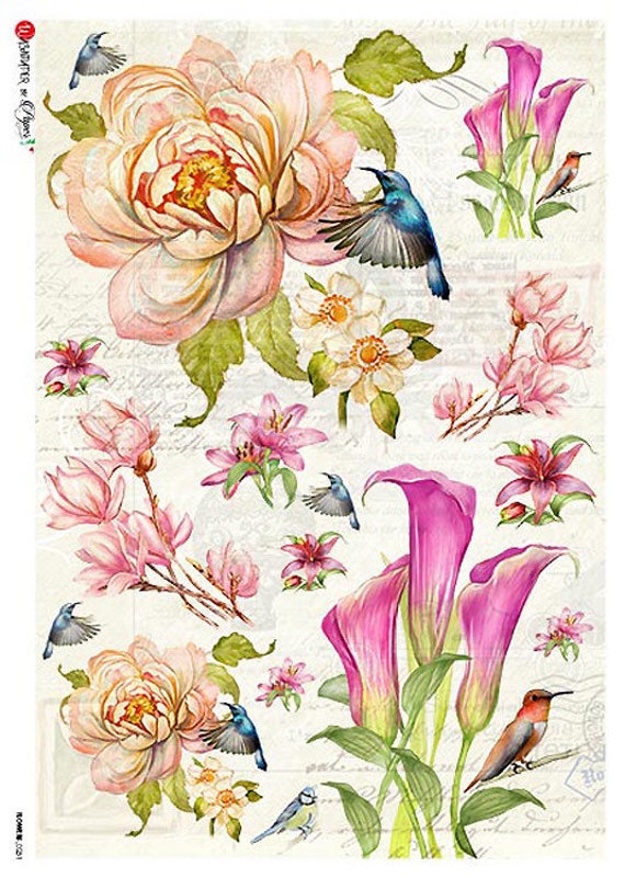 2 Sheets Italy Rice Paper Decoupage Hummingbird And Blossoms RCP-FL-231 x2