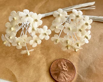 From Austria 24 Off White Cotton Fabric Forget Me Not Millinery Flowers NAT145IV x2