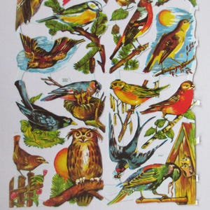 From Germany Vintage EAS Die Cut Paper Scraps Birds Owl Woodpecker 3147